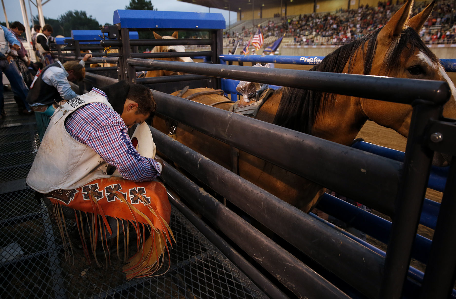 Rodeo